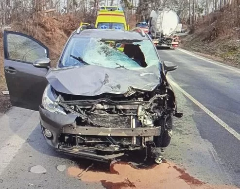 I pojišťovny mají své detektivy. Pomáhají odhalovat pojistné podvody, často i u povinného ručení